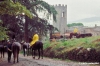badia_coltibuono1003_27