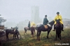 badia_coltibuono1003_40