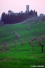 badia_passignano202_23
