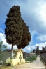 badia_passignano938_45