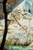 bagni_san_filippo386_11