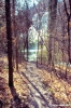 bagni_san_filippo386_48