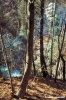 bagni_san_filippo387_02