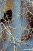 bagni_san_filippo387_17