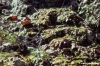 bagni_san_filippo387_21