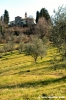 bagno_a_ripoli21