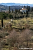 bagno_a_ripoli26