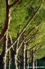 bagno_a_ripoli_01