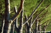 bagno_a_ripoli_02