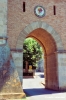 bolgheri861_35
