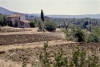 bolgheri900709n69