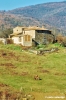 brolio930_41