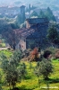 brolio931_32
