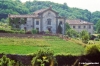 buonsollazzo252_40