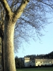 cafaggiolo01