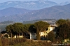 campagna_mercatale01