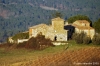 campagna_mercatale03