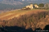 campagna_mercatale05