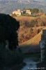 campagna_mercatale06