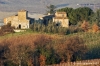 campagna_mercatale08