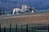 campagna_mercatale12