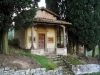 campagna_mercatale19