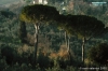 campagna_mezzomonte1