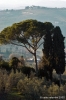 campagna_mezzomonte3