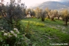 case_san_romolo1