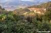 case_san_romolo4