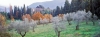 casentino100_124