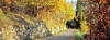 casentino100_412