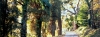 casentino99_434