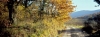 casentino99_436