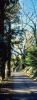 casentino99_533