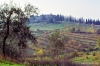 castel_del_nero331_06