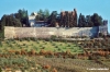castello_brolio931_08