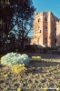 castello_brolio931_23