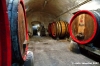 castello_del_trebbio18