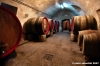 castello_del_trebbio23