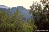 castello_monteacuto1