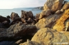 castiglioncello950_25
