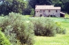 cetona2