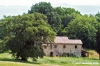 cetona3