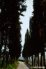 chianti222_45