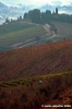 chianti_albola08
