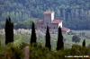 chianti_albola09