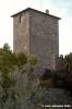 chianti_mugnana3