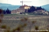 chianti_vistarenni2
