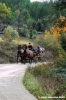 civitella_belagaio034